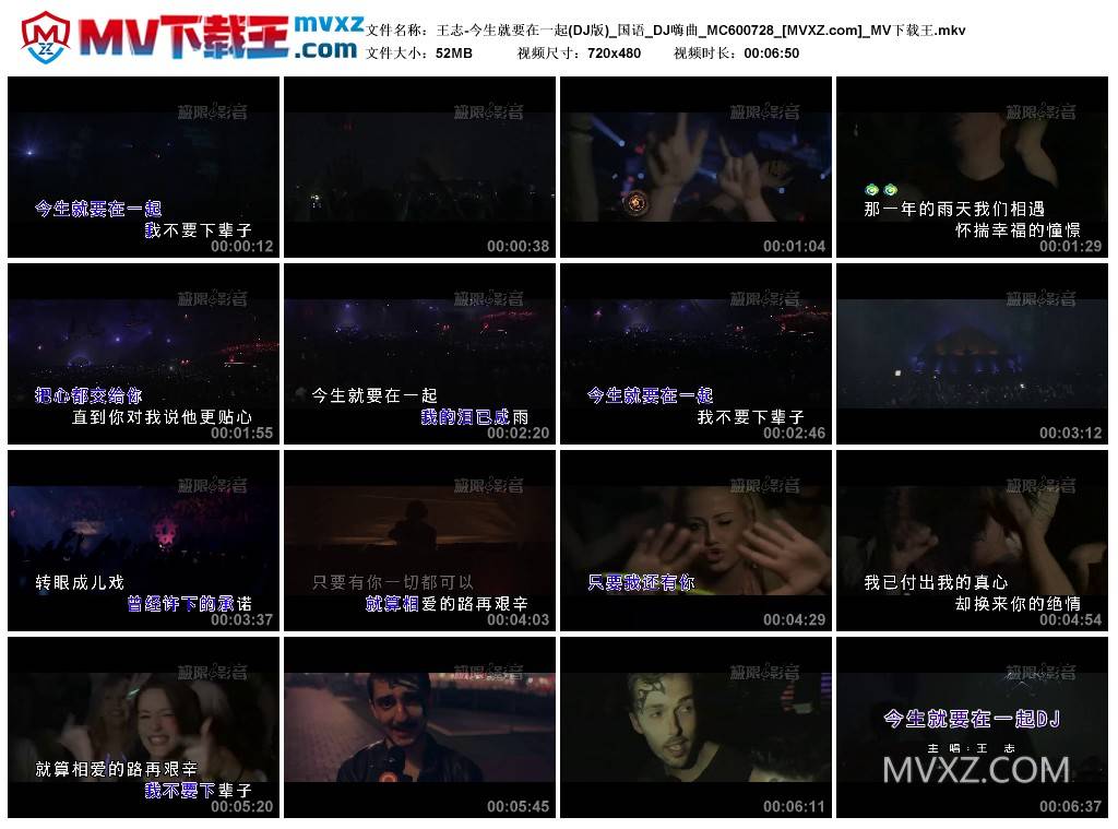 王志-今生就要在一起(DJ版)_国语_DJ嗨曲_MC600728